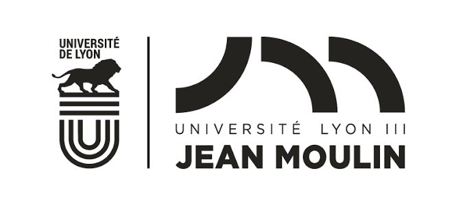 iaelyon, Université Lyon 3